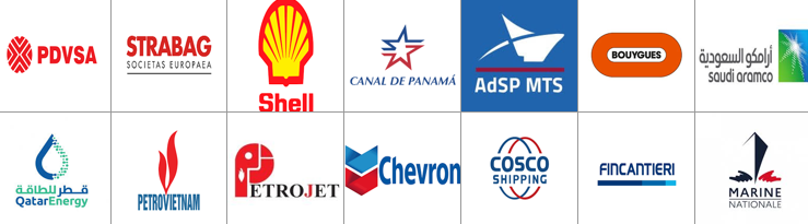 Trusted by partners